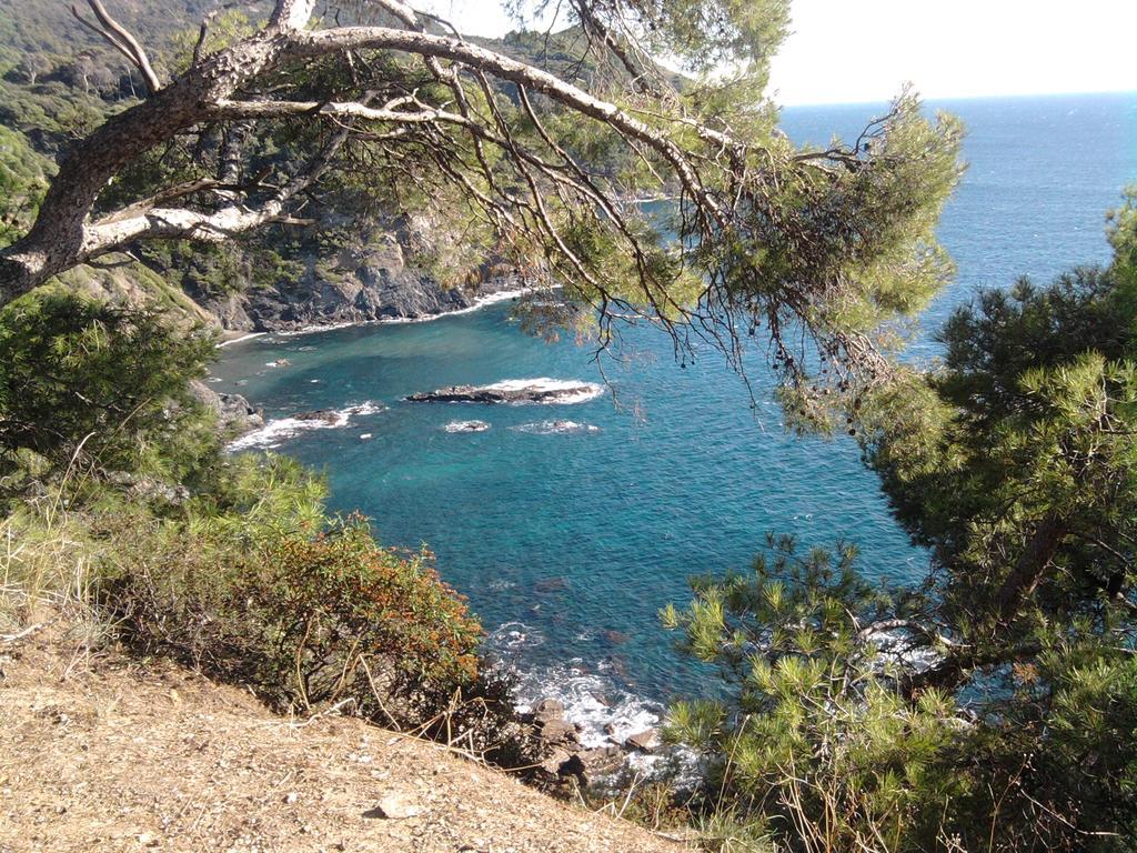 La Petite Maison De Melanie 30M Mer Six-Fours-les-Plages Dış mekan fotoğraf