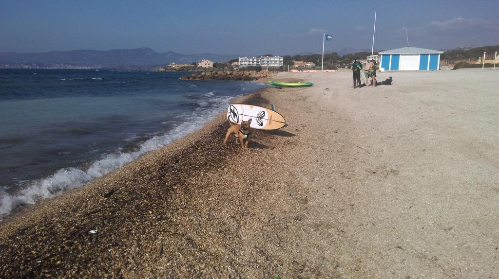 La Petite Maison De Melanie 30M Mer Six-Fours-les-Plages Dış mekan fotoğraf