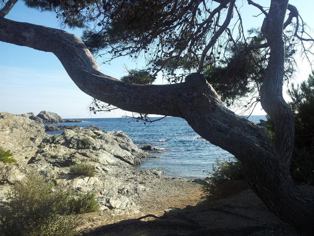 La Petite Maison De Melanie 30M Mer Six-Fours-les-Plages Dış mekan fotoğraf