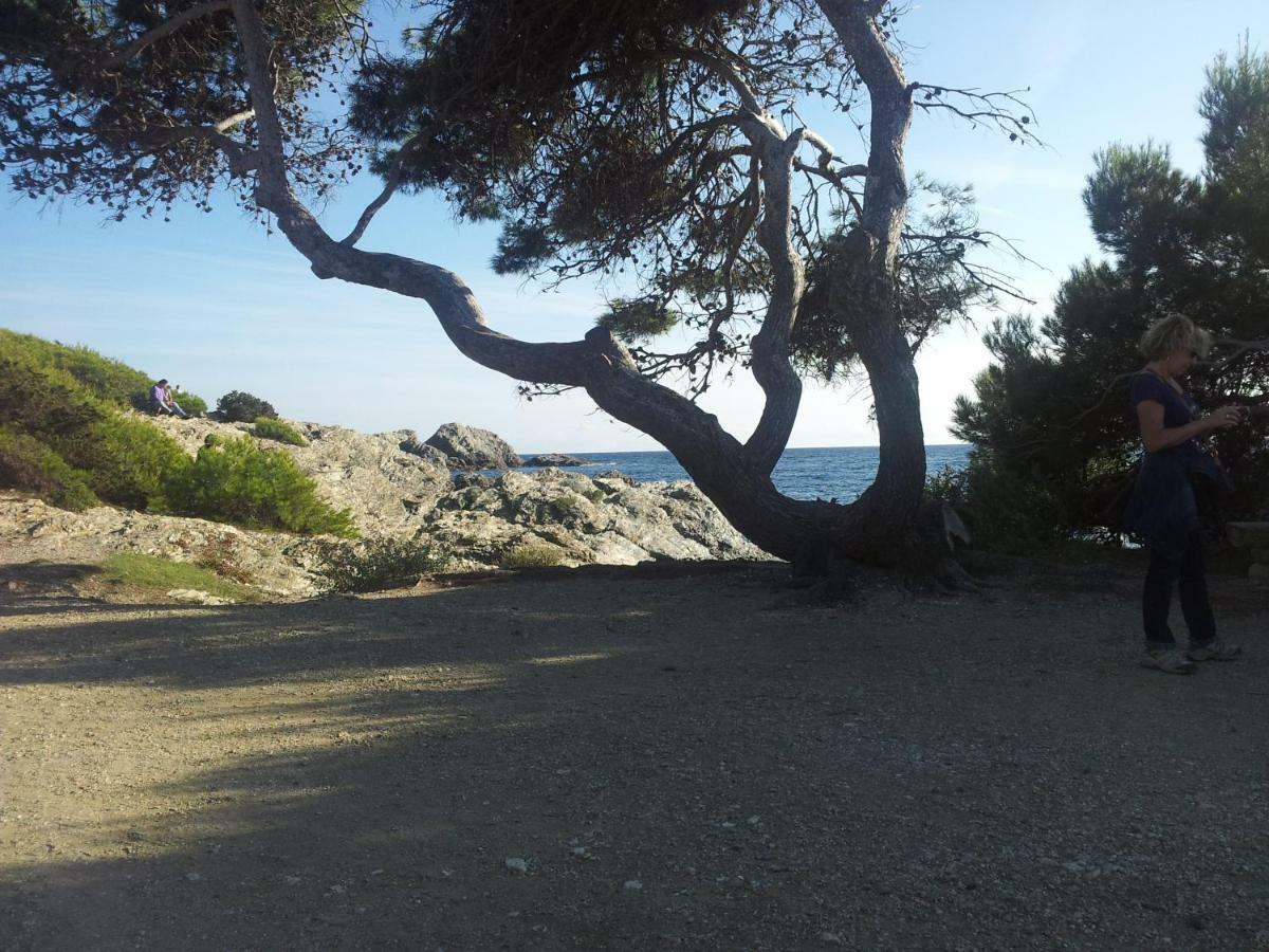 La Petite Maison De Melanie 30M Mer Six-Fours-les-Plages Dış mekan fotoğraf